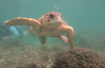 Key West SNUBA Experience