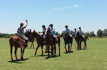 Polo Match, BBQ and Lesson Day-Trip from Buenos Aires