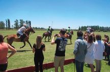 Polo Match, BBQ and Lesson Day-Trip from Buenos Aires