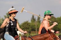Polo Match, BBQ and Lesson Day-Trip from Buenos Aires