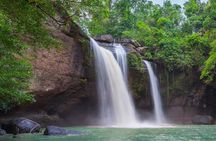 Waterfall Hike, Rainforest, Chocolate Tour, Historical, Private 