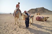 Super Safari 5In1quad Camel Ride Dinner African Nubian show star gazing in sharm