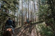 Ridge Ride 2-Hour Horseback Trail Ride in Kananaskis