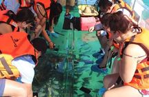 Tour the Arch, Land's End and more in Cabo's original Clear Boat