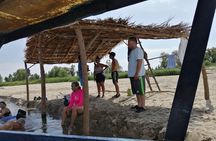 Coyuca Town Tour and Baby Turtle Release