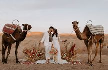Dinner show and Sunset Camel riding Agafay desert