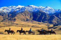 Cardrona High Country Pub Trail Horse Riding Trek (Adventurous)