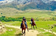 Cardrona High Country Pub Trail Horse Riding Trek (Adventurous)