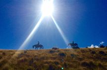 Beginner/Child friendly Gold Discovery Trail Horse Trek Cardrona