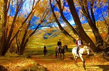 Beginner/Child friendly Gold Discovery Trail Horse Trek Cardrona