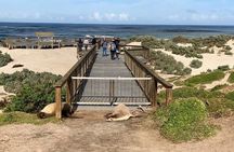 Small Group Kangaroo Island Tour - Best of KI