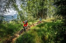 Stairway to Heaven Trail Mountain Biking Tour Chiang Mai
