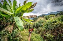 Stairway to Heaven Trail Mountain Biking Tour Chiang Mai