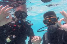PADI Open Water Diver course on Koh Samui