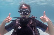 2 Days Diving Trip to Koh Tao Including 4 Dives and Accommodation