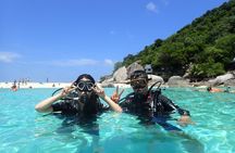 PADI Scuba Diver course for beginners Two days one night accommodation included