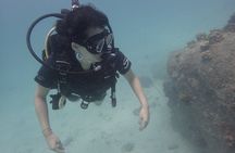 PADI Scuba Diver course for beginners Two days one night accommodation included