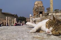 Best of Ephesus Tour From Kusadasi: Temple of Artemis, St John Basilica, Isa Bey Mosque