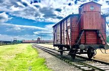 Auschwitz Birkenau Museum and Salt Mine All Inclusive DAY TRIP with Local Guides