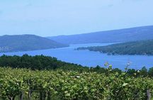 Keuka Lake Winery Tour