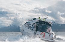 Fjordcruise - Luxury Yacht Arctic Queen