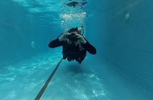 Discover Scuba Diving Program