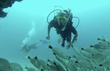 Marietas Islands National Park Excursion for Certified Divers