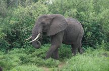 5-Day Spirit of Tanzania Safari