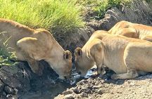 5-Day Spirit of Tanzania Safari