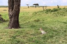 6-Day Soul of Tanzania Safari – All - Inclusive