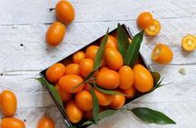 Taste Corfu: Private Corfu Food Walking Tour