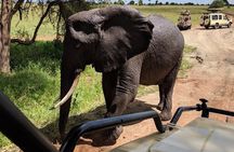 6-Day Soul of Tanzania Safari – All - Inclusive