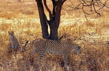 6-Day Soul of Tanzania Safari – All - Inclusive