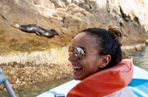 Whale Watching in Cabo San Lucas: Sightseeing Cruise and Shopping