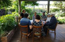 Marlborough Discovery Sampler Wine Tour - 1/2Day Blenheim