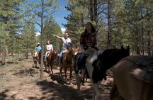  Ruby's Horseback Adventures Utah 1.5 Hour Ride