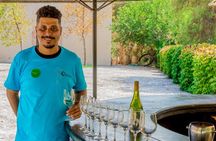 Concha y Toro Vineyard