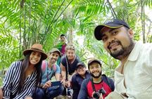 Tikal Shared Experience: Flight from the City + One Day Tour
