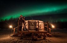 Alaskan Escape: Aurora Viewing & Dog Sledding Adventure Fairbanks