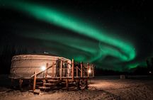 Alaskan Escape: Aurora Viewing & Dog Sledding Adventure Fairbanks
