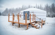 Chena River Mush Dream Vacation in Fairbanks