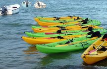Bioluminescent Bay Night Kayak Experience!