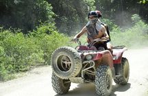 Adventure in ATV, Cenote swimming, snack & transportation