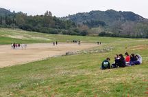 Katakolon Shore Excursion: Premium Skip-the-Lines Olympia & Free Olive Oil Tasting Tour