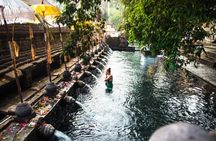 Private Shore Excursion: Highlights of Bali