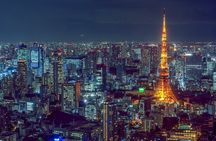 Tokyo City 1-Day Private Tour with Bilingual Driver