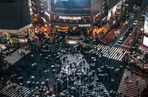 Tokyo City 1-Day Private Tour with Bilingual Driver