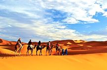 1 night Merzouga camel Trekking 