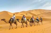 1 night Merzouga camel Trekking 