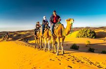 1 night Merzouga camel Trekking 